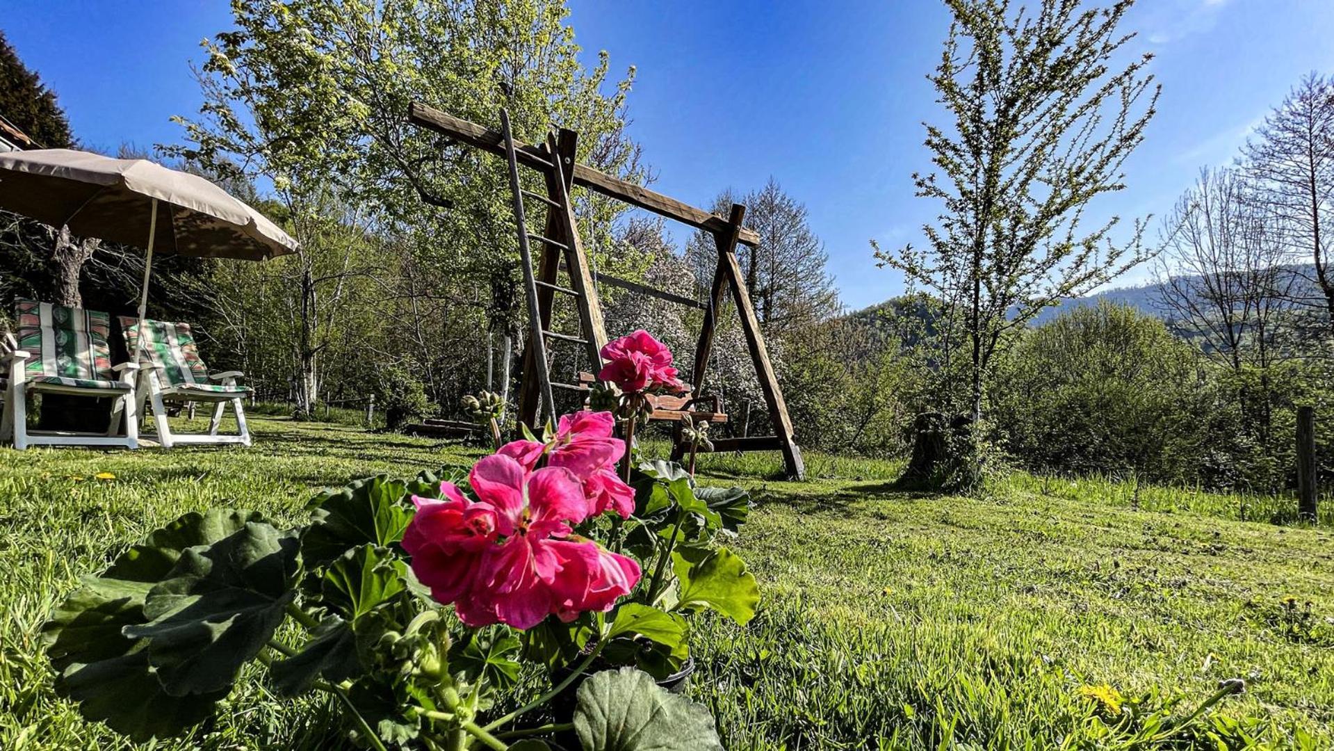 Kuca Za Odmor Forest Dream U Blizini Rijeke Kupe Plesce ภายนอก รูปภาพ